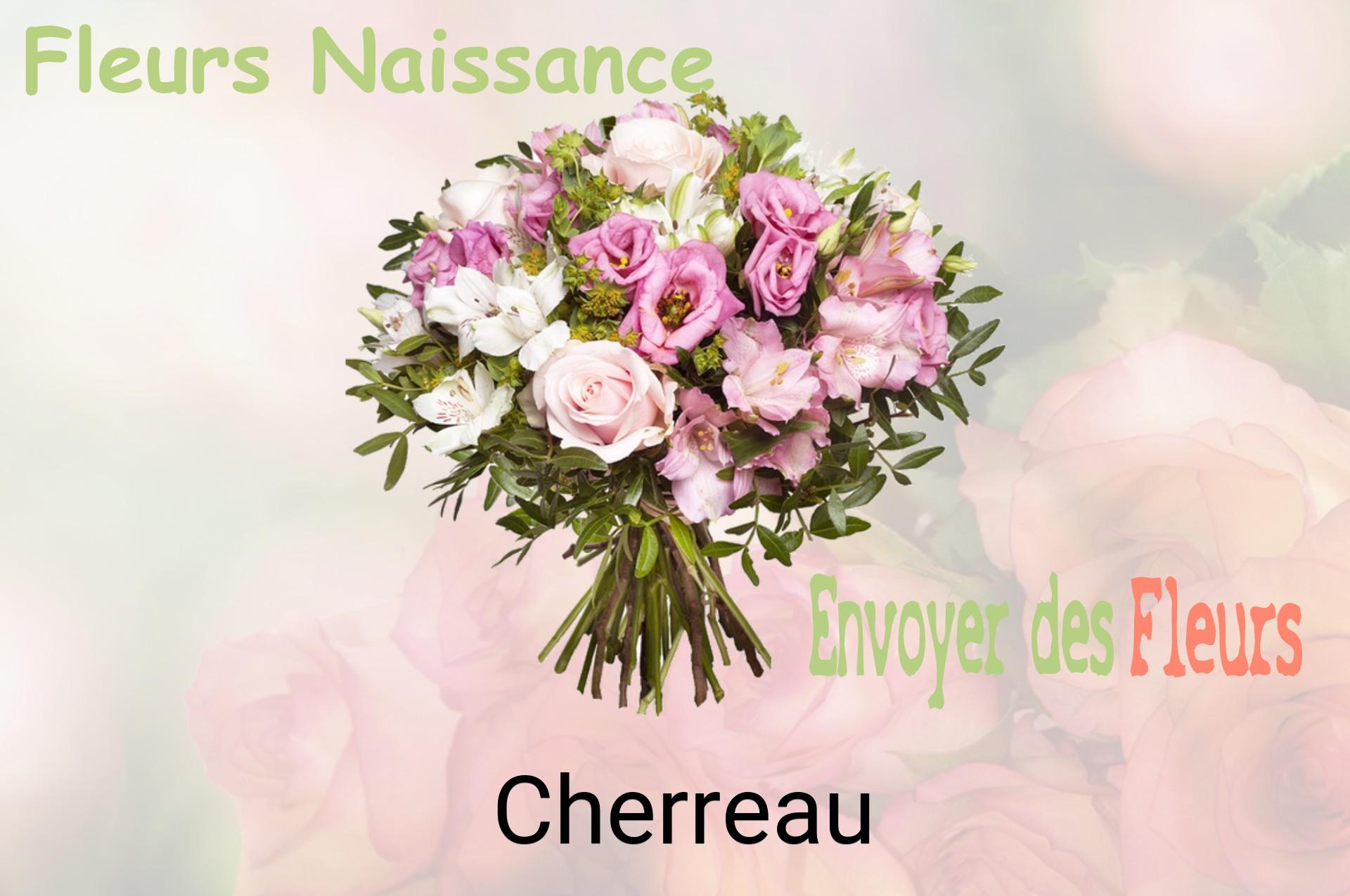 Bouquet de fleurs de naissance livré à Cherreau